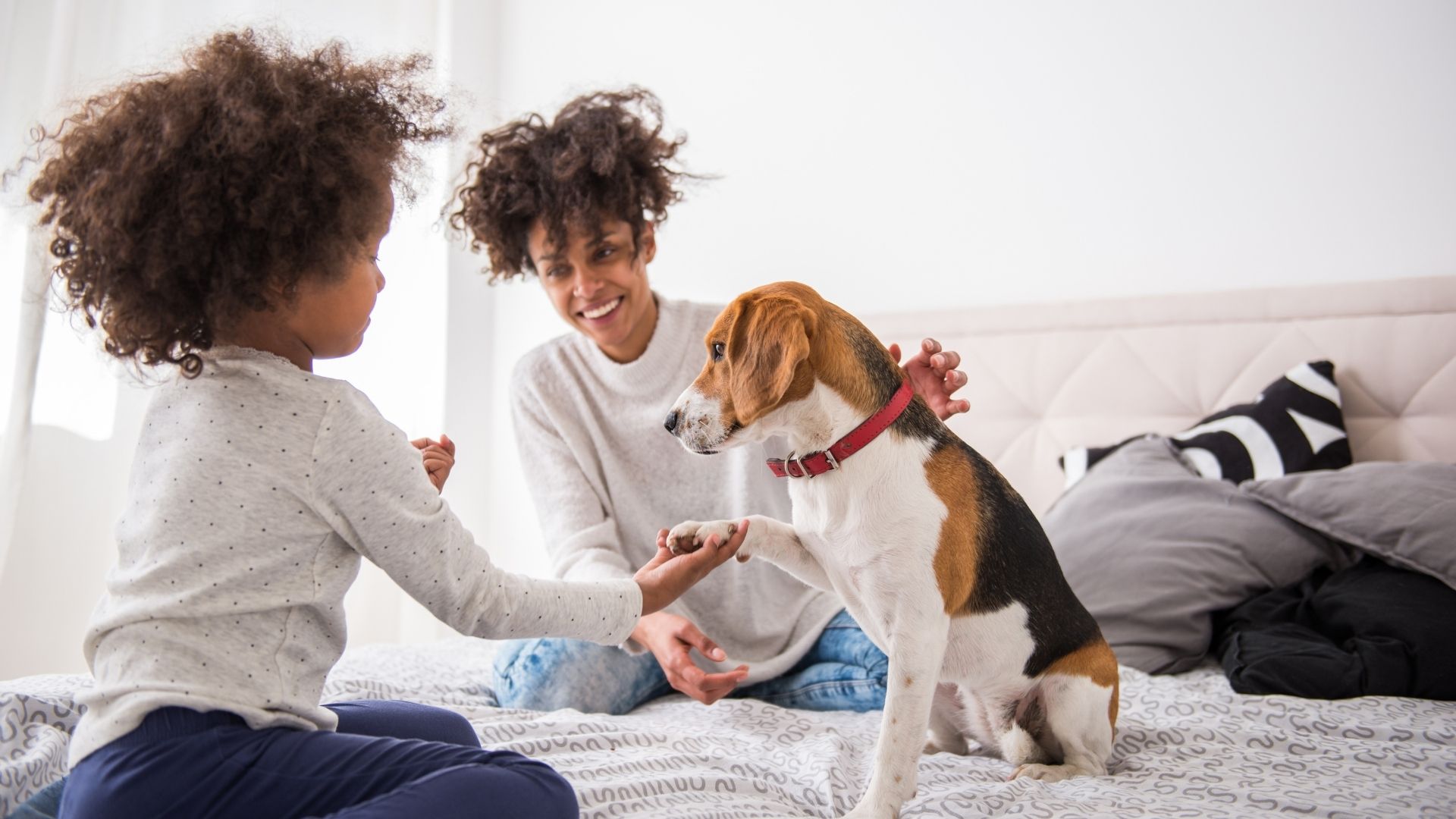 What To Know Before Buying Your Child a Pet