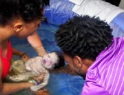 A Black couple welcoming a newborn baby into their lives after the mom gave birth at home in a birth pool.