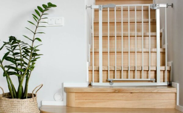 A wooden staircase with a white baby gate installed at the bottom. There is a green plant in a basket next to the stairs.