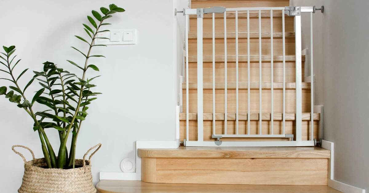 A wooden staircase with a white baby gate installed at the bottom. There is a green plant in a basket next to the stairs.