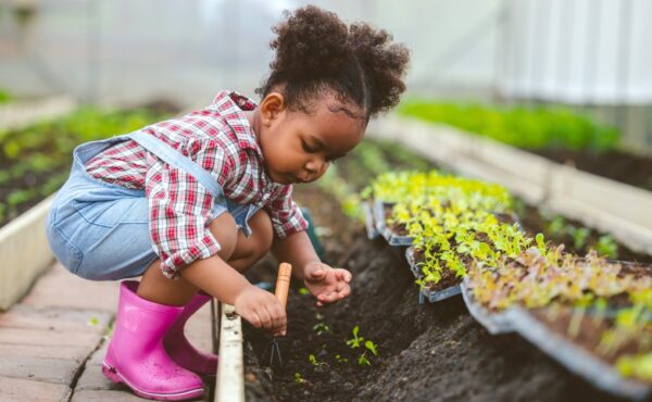 A young child in overalls and rain boots crouching by a planter bed and using a hand rake to dig in the dirt.