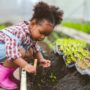 A young child in overalls and rain boots crouching by a planter bed and using a hand rake to dig in the dirt.