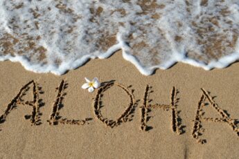 The word aloha is written in capital letters in the sand on a beach, with a white tropical flower and a wave crashing.