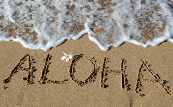 The word aloha is written in capital letters in the sand on a beach, with a white tropical flower and a wave crashing.