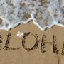 The word aloha is written in capital letters in the sand on a beach, with a white tropical flower and a wave crashing.
