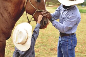 A man and a child, both wearing cowboy hats, gently petting the snout of a brown horse with a bridle on.