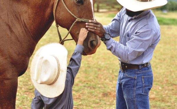 A man and a child, both wearing cowboy hats, gently petting the snout of a brown horse with a bridle on.