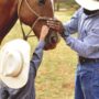 A man and a child, both wearing cowboy hats, gently petting the snout of a brown horse with a bridle on.