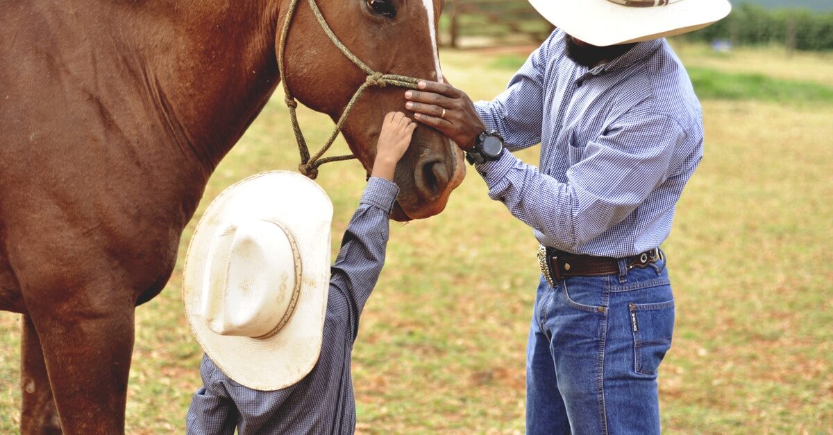 A man and a child, both wearing cowboy hats, gently petting the snout of a brown horse with a bridle on.